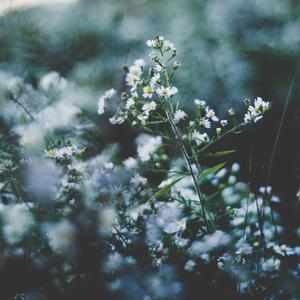 bukkake极端吞精ggg
