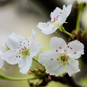 bukkake极端吞精ggg
